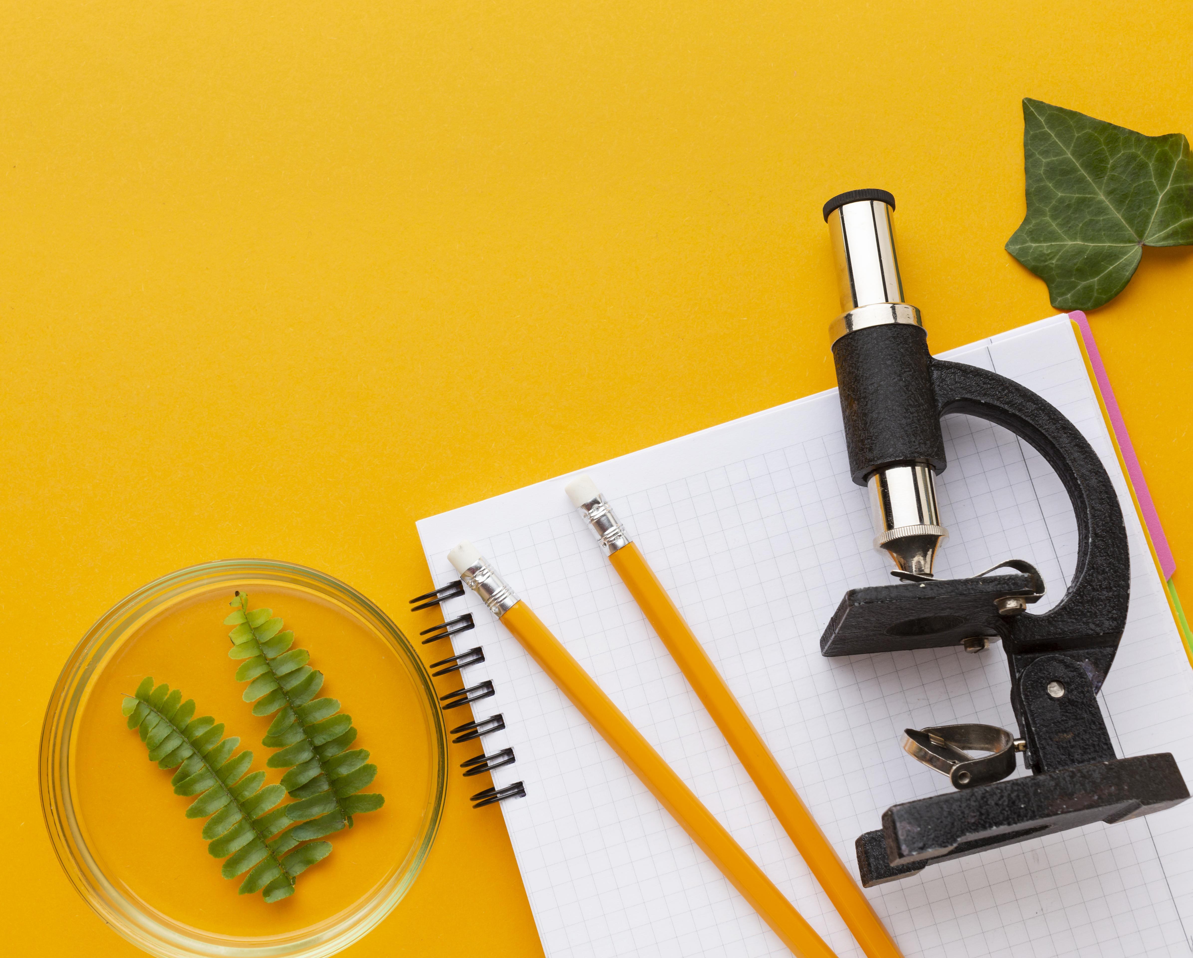 Scientific Editing